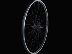 Trek Bikes Bontrager AT-550 29" MTB Wheel Black Best
