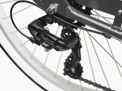Trek Bikes Cruiser 7D Step-Thru Best