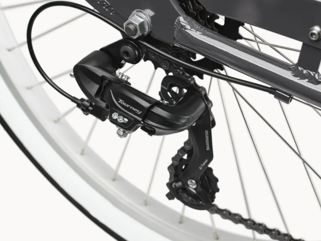Trek Bikes Cruiser 7D Step-Thru Best