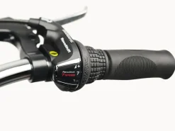 Trek Bikes Cruiser 7D Step-Thru Best