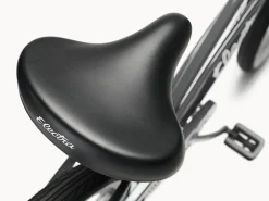 Trek Bikes Cruiser 7D Step-Thru Best