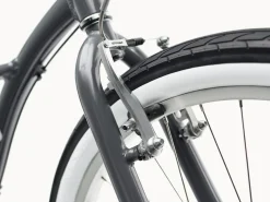 Trek Bikes Cruiser 7D Step-Thru Best