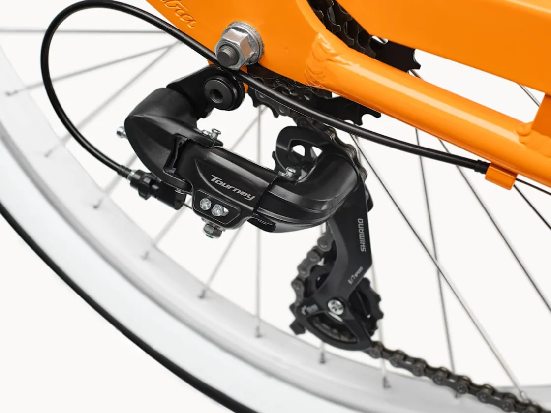 Trek Bikes Cruiser 7D Step-Thru Best