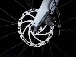 Trek Bikes Domane AL 2 Gen 4 Shop