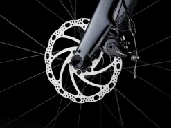 Trek Bikes Domane AL 2 Gen 4 Shop