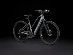 Trek Bikes Dual Sport+ 2 Stagger Cheap