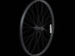 Trek Bikes Electra Loft 1 700C Wheel Black Fashion