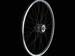 Trek Bikes Electra Loft 7i EQ 700c Wheel Black/Silver Store