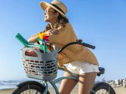 Trek Bikes Electra Plasket Basket Store