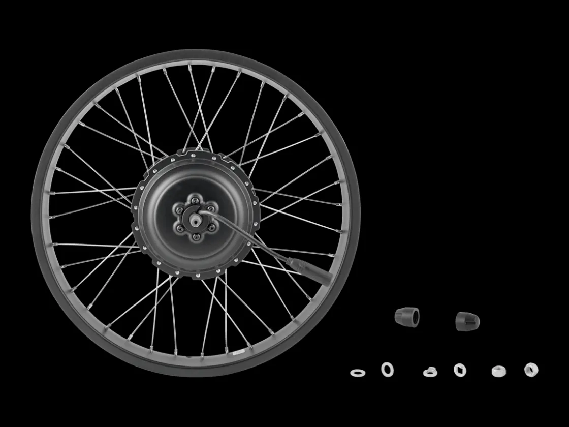 Trek Bikes Electra Ponto Go! 20" Wheel Black New