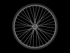 Trek Bikes Electra Ponto Go! 20" Wheel Black New