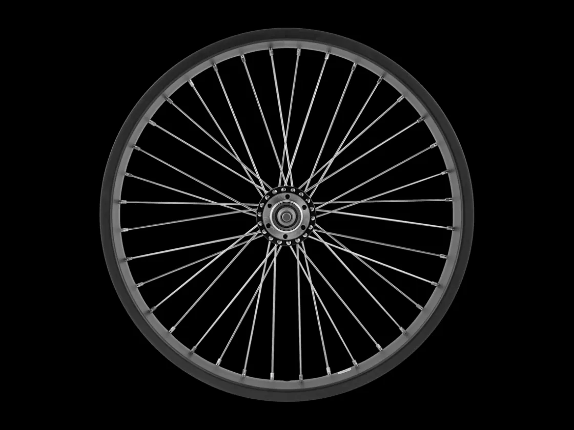 Trek Bikes Electra Ponto Go! 20" Wheel Black New