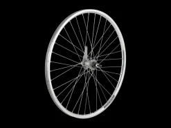Trek Bikes Electra Townie 1 Rental 26" Wheel Silver Fashion