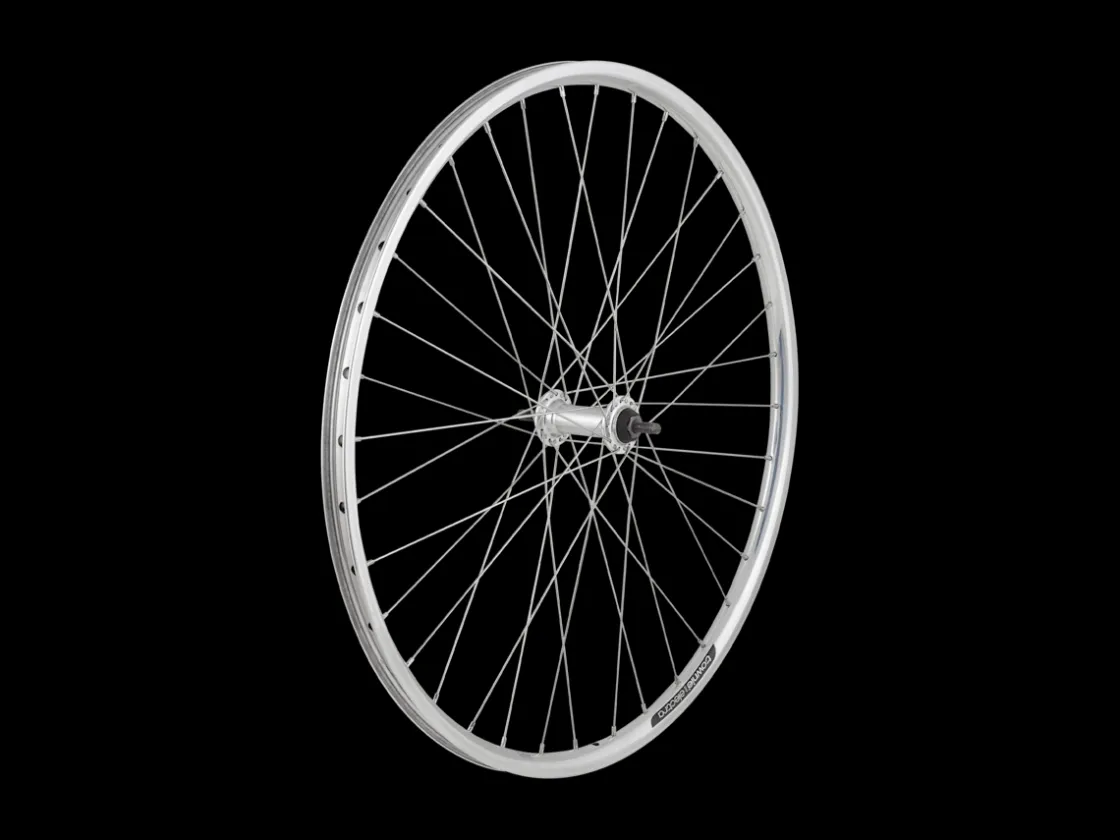 Trek Bikes Electra Townie 1 Rental 26" Wheel Silver Fashion