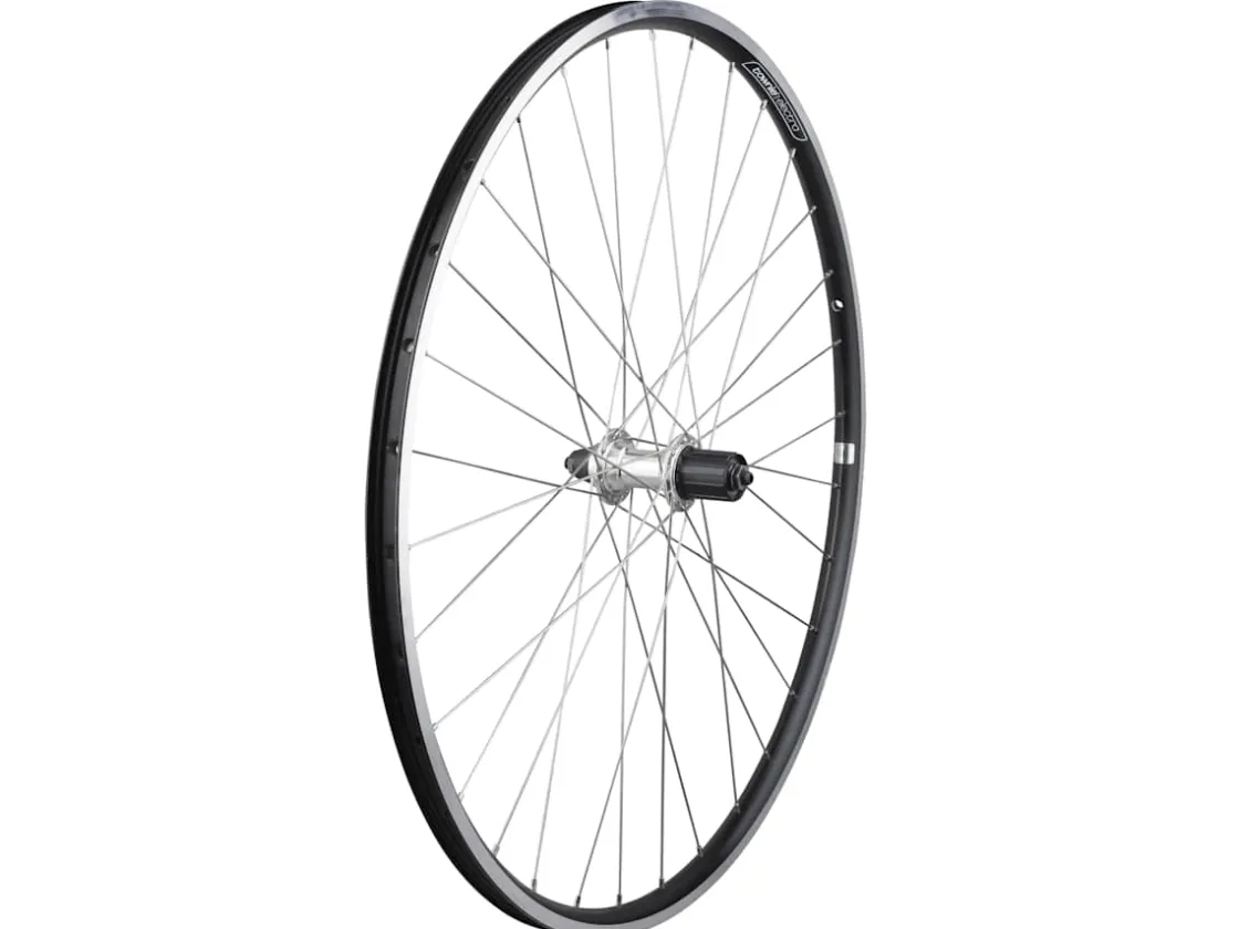 Trek Bikes Electra Townie Commute 8D Wheel Shop