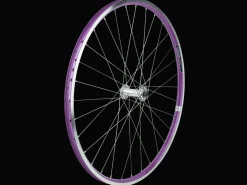 Trek Bikes Electra Townie 21D 26" Wheel Store