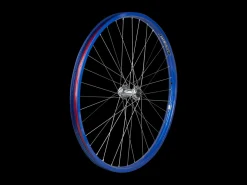 Trek Bikes Electra Townie Go! 8i Centerlock Disc 26" Wheel Best Sale