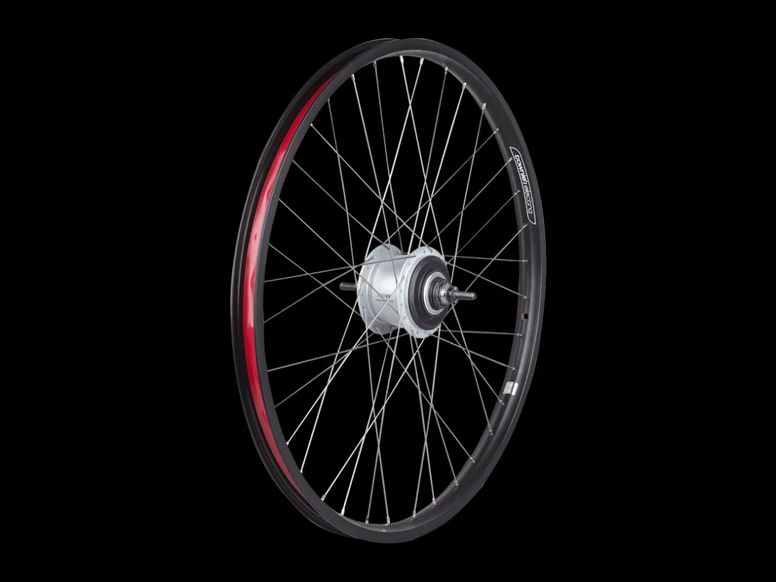 Trek Bikes Electra Townie Go! 8i Centerlock Disc 26" Wheel Best Sale