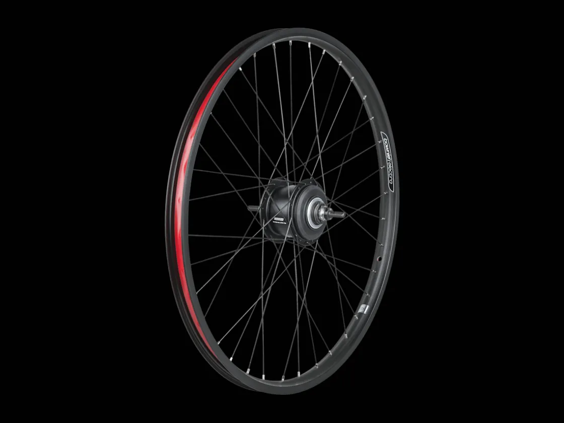 Trek Bikes Electra Townie Go! 8i Centerlock Disc 26" Wheel Best Sale