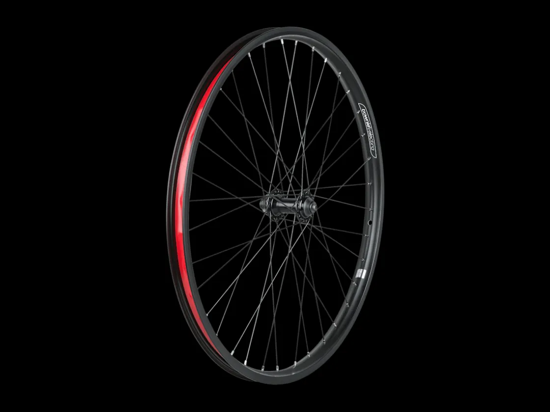 Trek Bikes Electra Townie Go! 8i Centerlock Disc 26" Wheel Best Sale