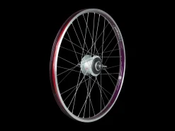 Trek Bikes Electra Townie Go! 8i Centerlock Disc 26" Wheel Best Sale