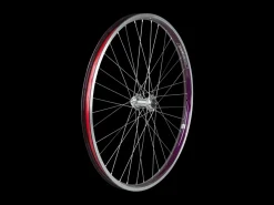 Trek Bikes Electra Townie Go! 8i Centerlock Disc 26" Wheel Best Sale