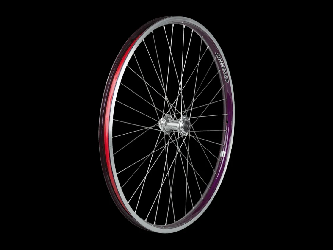 Trek Bikes Electra Townie Go! 8i Centerlock Disc 26" Wheel Best Sale