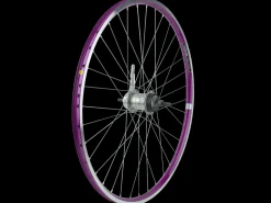 Trek Bikes Electra Townie 3i EQ 26" Wheel New