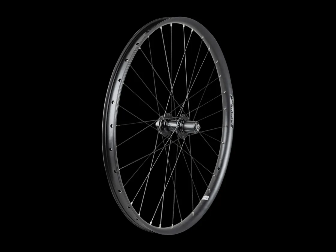Trek Bikes Electra Townie Path 6-Bolt Disc 27.5" Wheel Hot