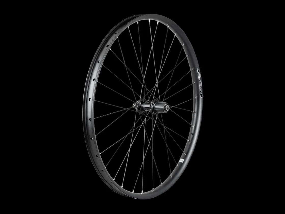 Trek Bikes Electra Townie Path 9D EQ Centerlock Disc 27.5" Wheel Outlet
