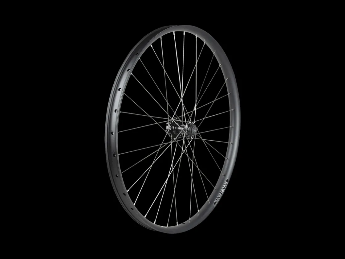Trek Bikes Electra Vale Go! EQ Wheel Best Sale