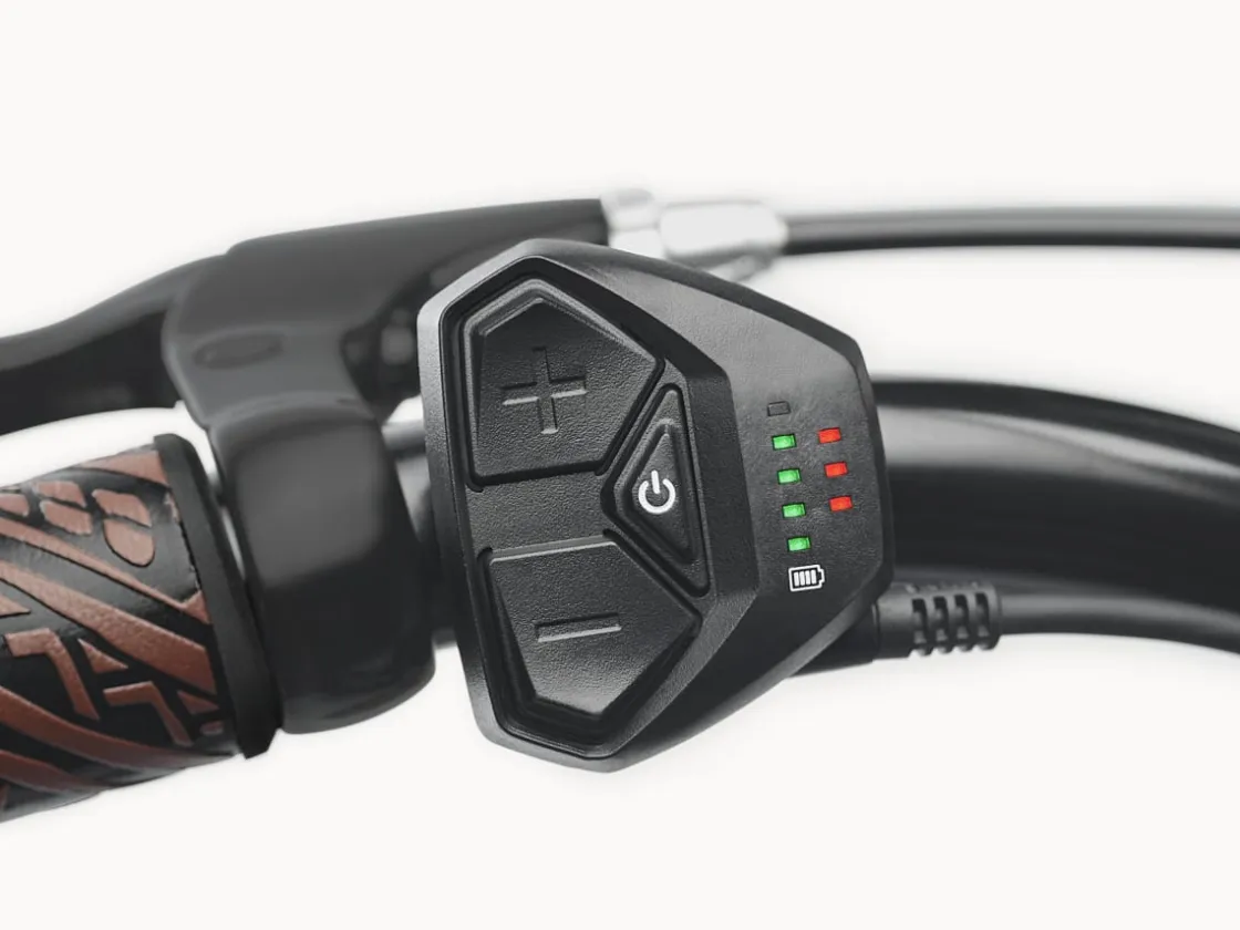 Trek Bikes Kakau Cruiser Go! Matte Ember Discount