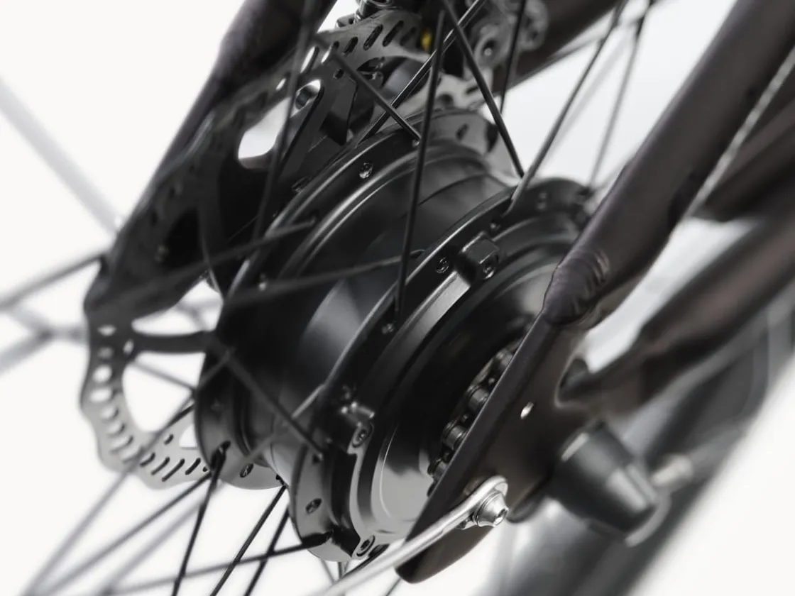 Trek Bikes Kakau Cruiser Go! Matte Ember Discount