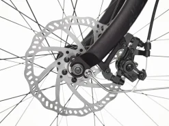 Trek Bikes Kakau Cruiser Go! Matte Ember Discount
