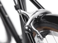 Trek Bikes Loft 7D Step-Over Store