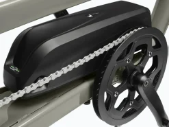 Trek Bikes Ponto Go! S Online
