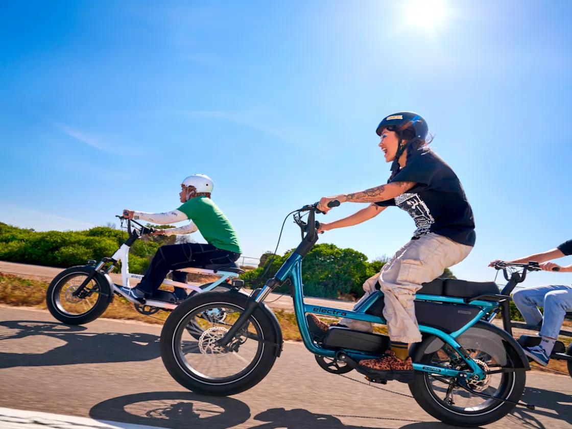 Trek Bikes Ponto Go! S Online