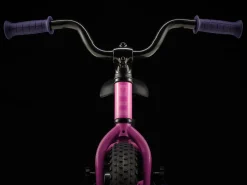 Trek Bikes Precaliber 12 Outlet