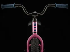 Trek Bikes Precaliber 16 Sale