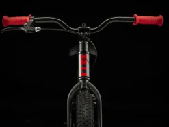 Trek Bikes Precaliber 20 Best