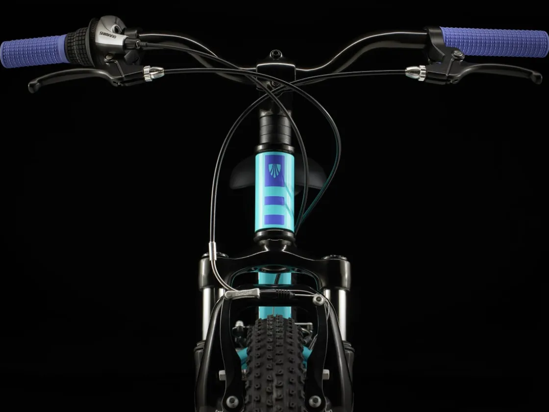 Trek Bikes Precaliber 20 7-speed Cheap