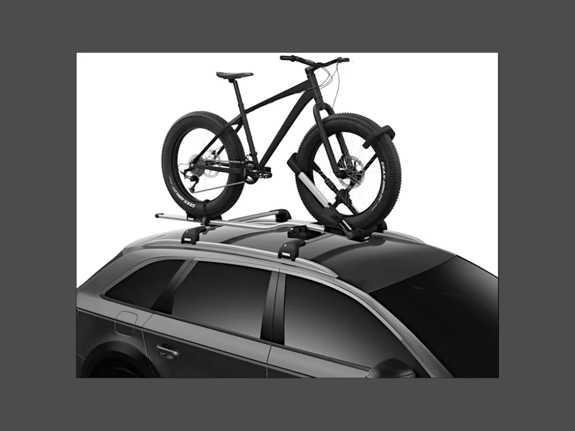 Trek Bikes Thule UpRide Tray Fat Bike Adapter Black Cheap