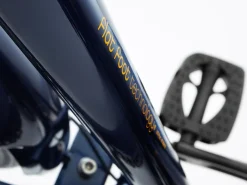 Trek Bikes Townie 7D EQ Step-Over Store