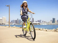 Trek Bikes Townie 7D EQ Step-Thru Cheap