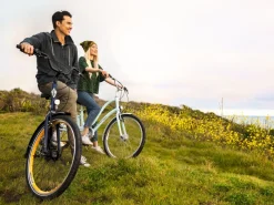 Trek Bikes Townie 7D EQ Step-Thru Cheap