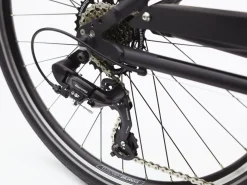 Trek Bikes Townie 7D Step-Over Cheap