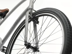 Trek Bikes Townie 7D Step-Over Cheap