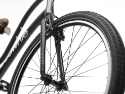 Trek Bikes Townie 7D Step-Thru Online