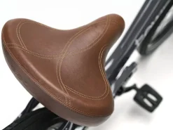 Trek Bikes Townie 7D Step-Thru Online