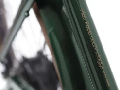 Trek Bikes Townie Go! 7D EQ Step-Over Best